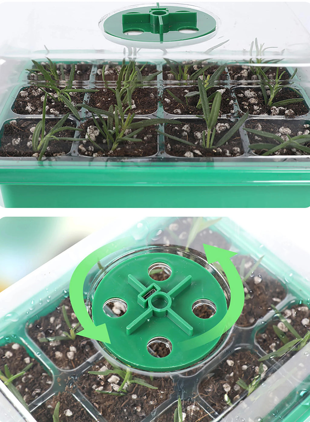 Seed Starter Tray with LED Grow Light — Germination Planter