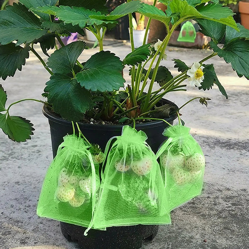 100/50/20Pcs Fruit Protection Bags with Drawstring Fruit Protection Mesh Bag Protective Pouches for Strawberry Organza Gift Bags